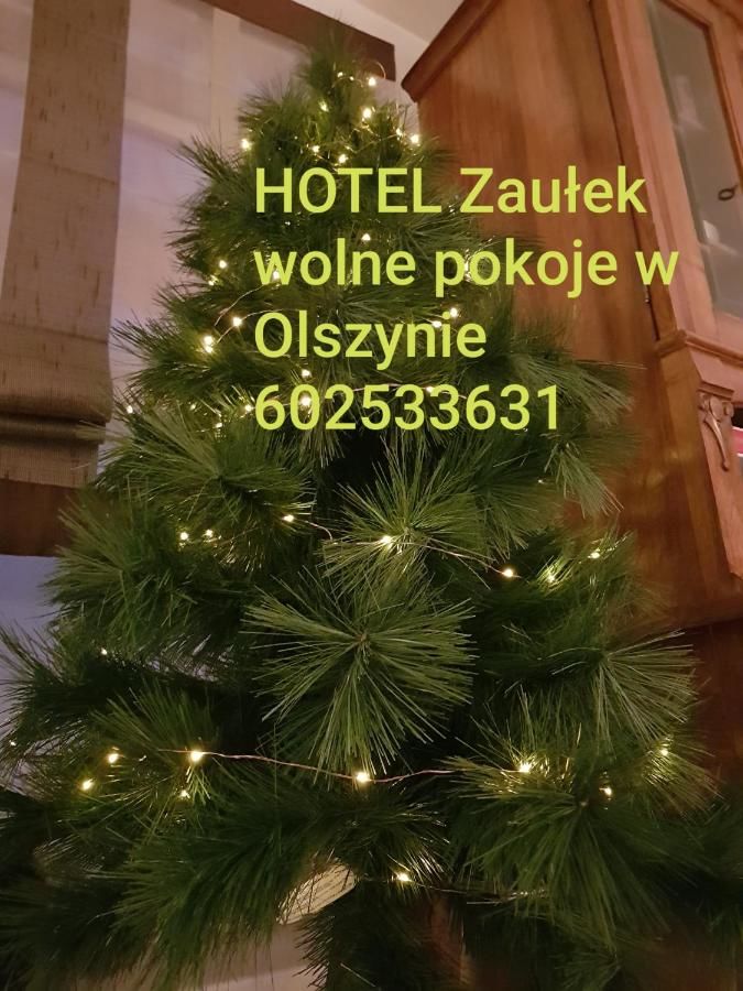 Отель HOTEL ZAUŁEK Любань-13