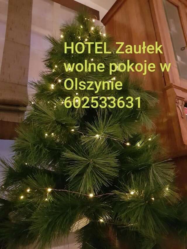 Отель HOTEL ZAUŁEK Любань-12